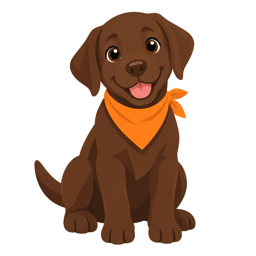 Milo, Gray's chocolate Lab learning buddy